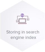 Storing in Search Engine Index